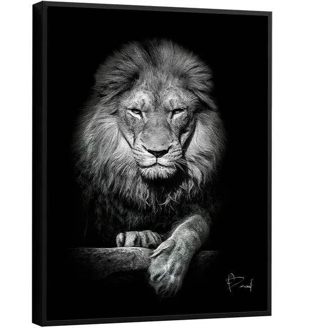 Quadro Leão no Preto